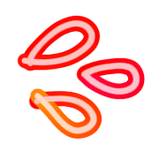 007