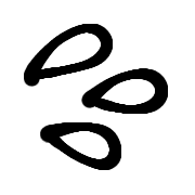 009