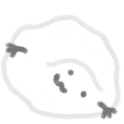 029