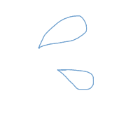 010