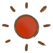 036