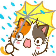 Min Min Cat อิโมจิแอนิเมชันแสนน่ารัก 3 รูปที่ 25
