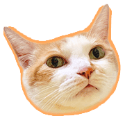 015