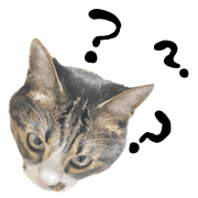 007