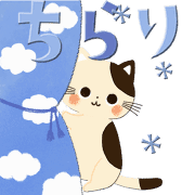 031