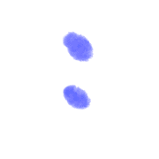 083