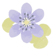 034