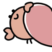 005