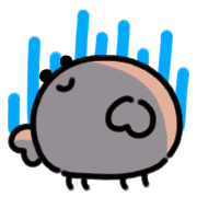 010