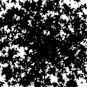 008
