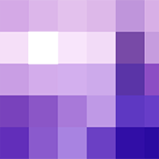 019