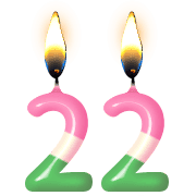 131