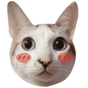 020