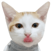 031
