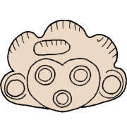 009