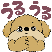 020