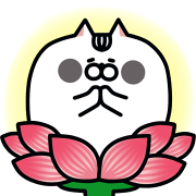 JiangZi Meow คอมโบ รูปที่ 17
