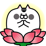 อิโมจิไลน์ JiangZi Meow คอมโบ