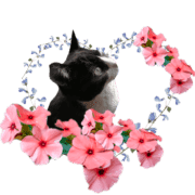 004