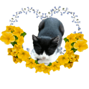 008