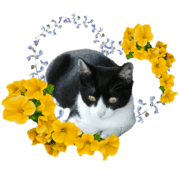009