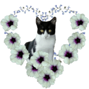 011