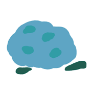 005