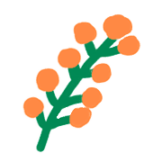 009