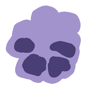 020