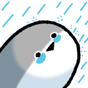 025