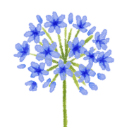 020