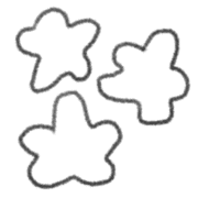006