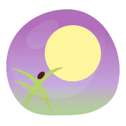019