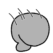 005