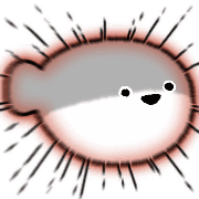 024