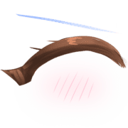 003