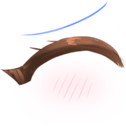 005