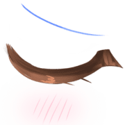 007