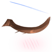 009