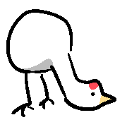029