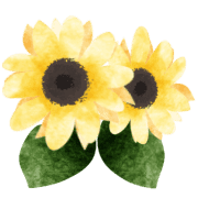019