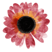 028