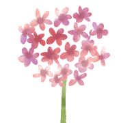 030