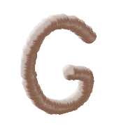 007