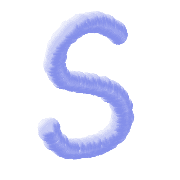 019