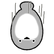 029