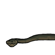 019