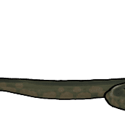 020
