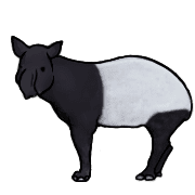 033