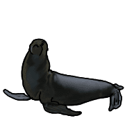 038